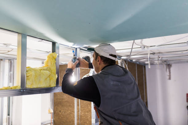 Best Residential Insulation in Skyline View, PA