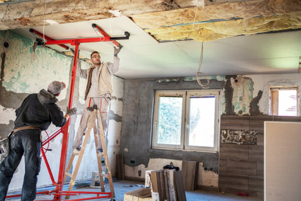 Best Insulation for Specific Applications in Skyline View, PA
